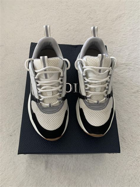 dior b22 pandabuy